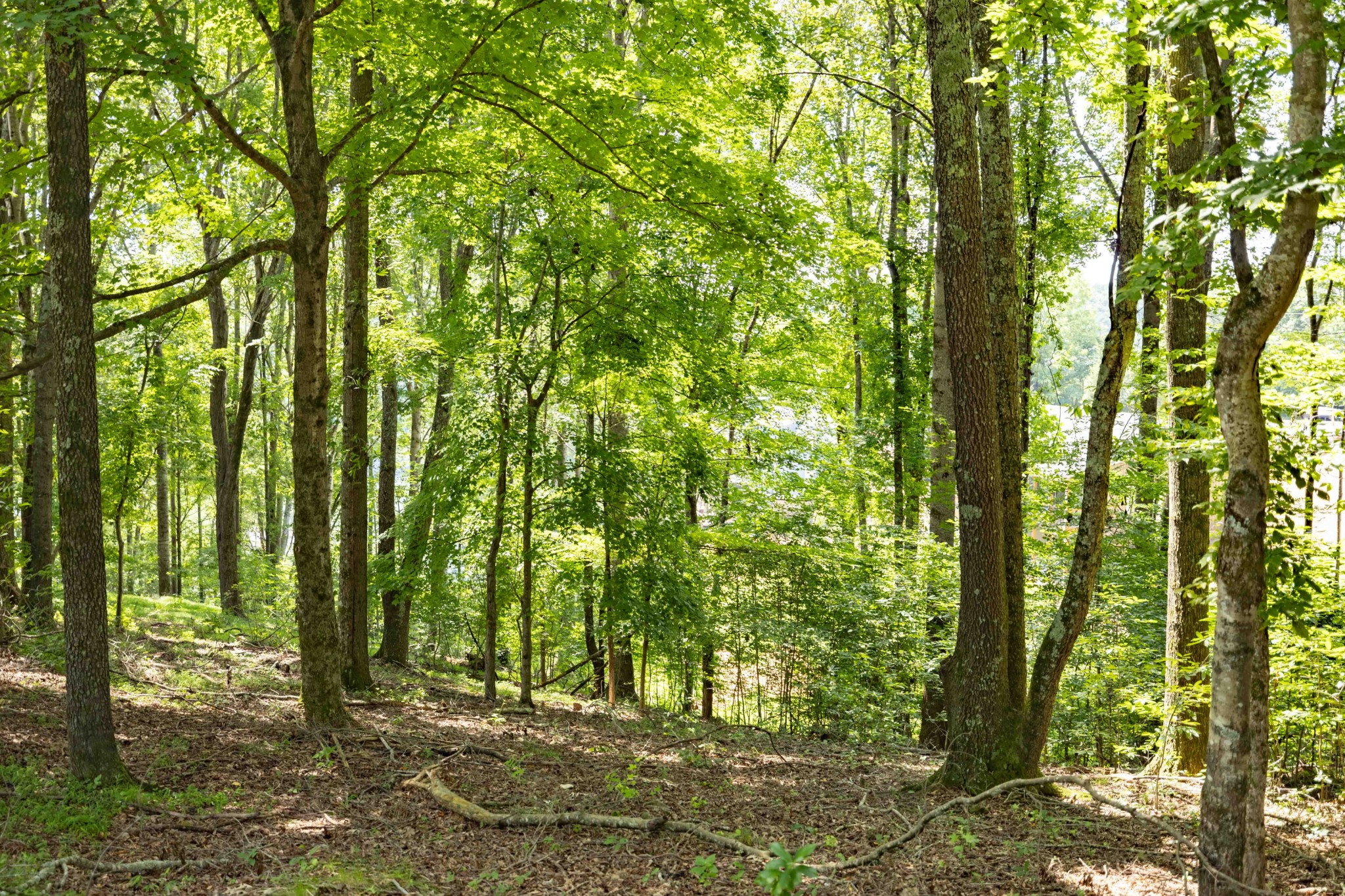 0 E Rockcrest Cir Property Photo 4