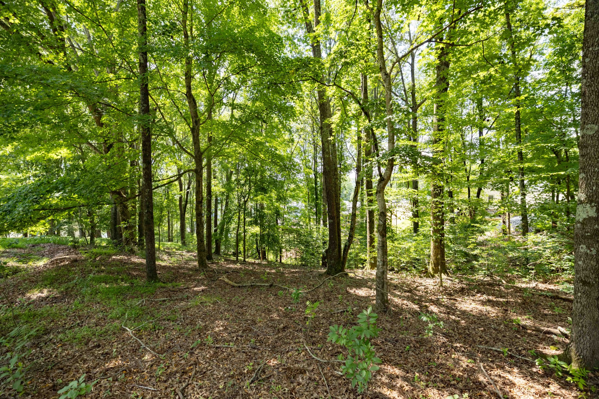 0 E Rockcrest Cir Property Photo 5