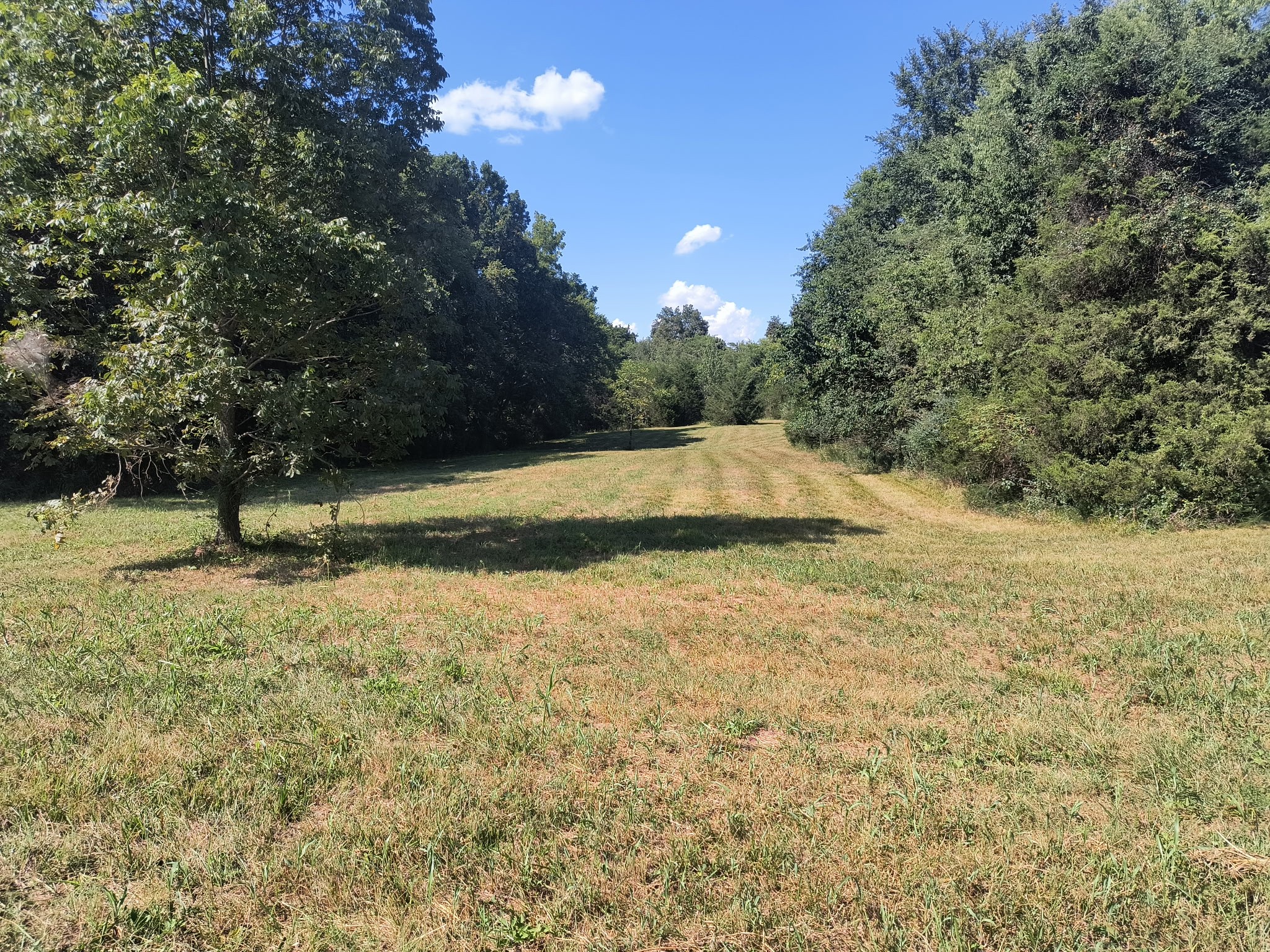 0 Hwy 41a N Property Photo 3