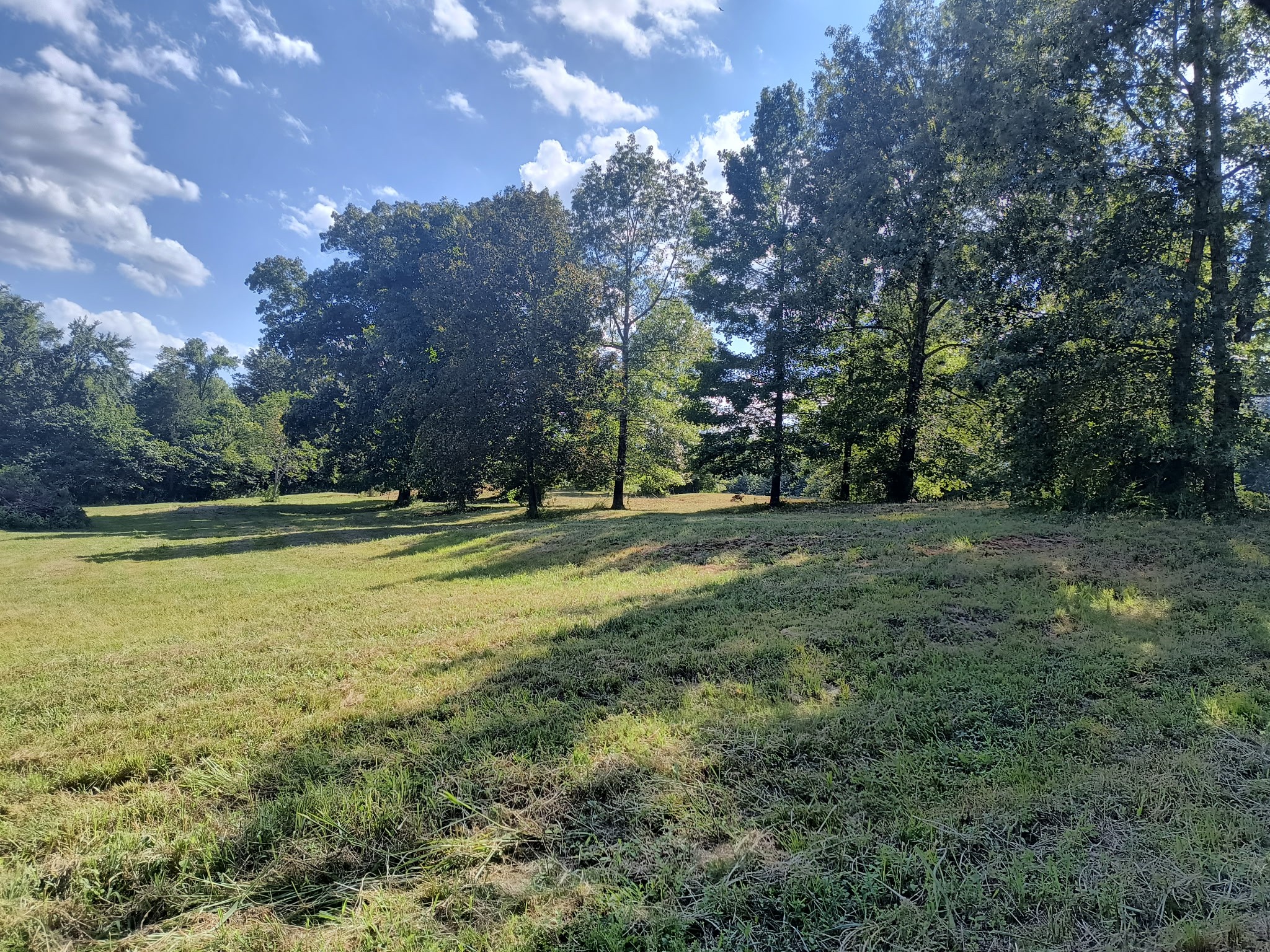 0 Hwy 41a N Property Photo 4