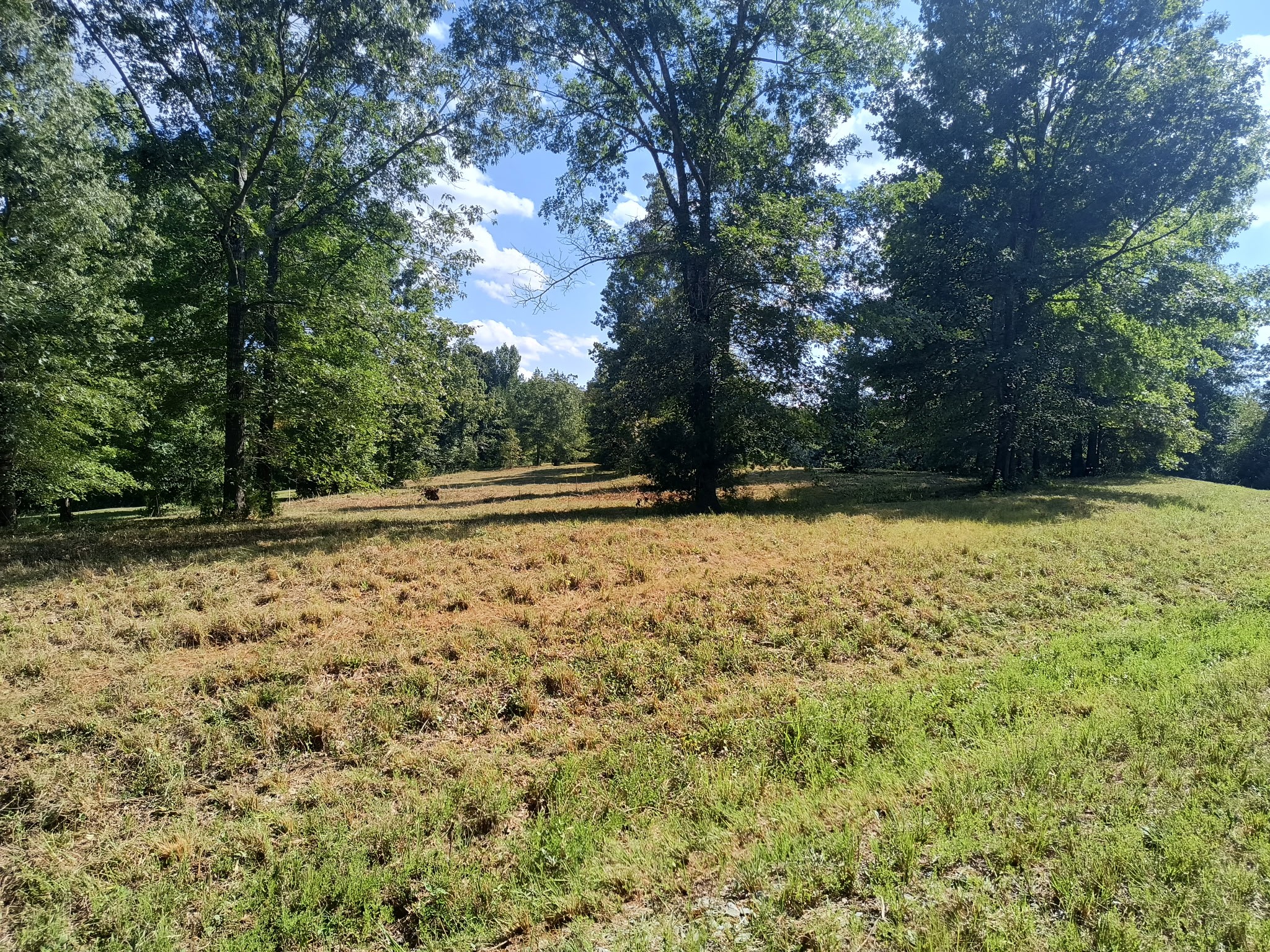 0 Hwy 41a N Property Photo 5