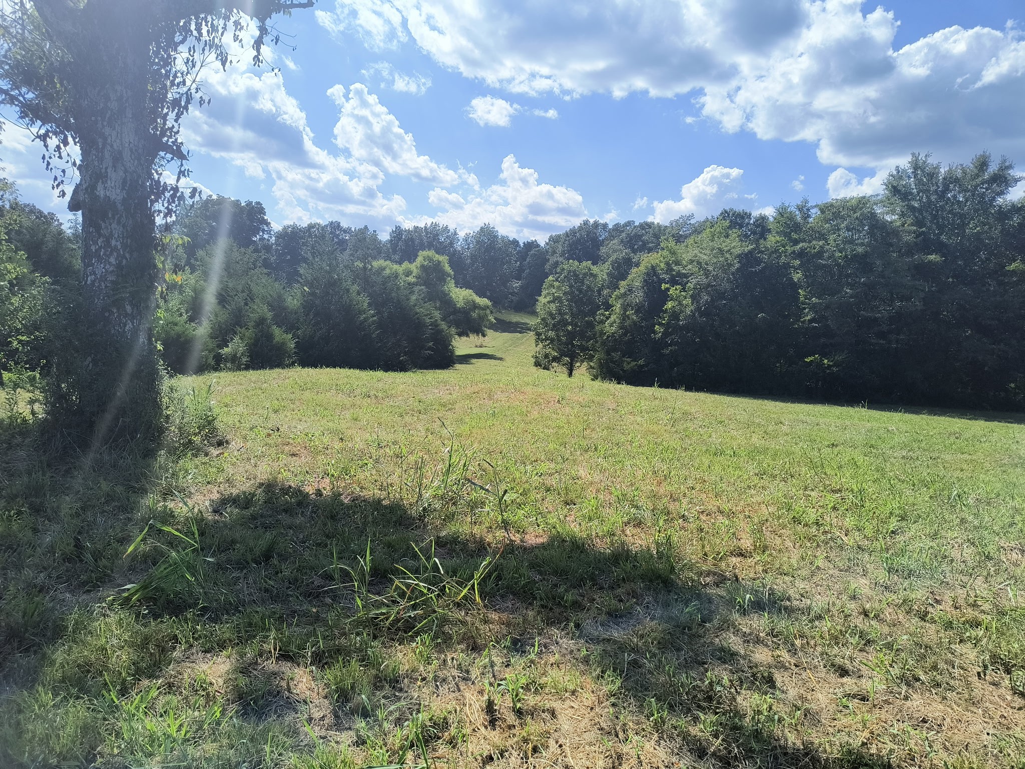 0 Hwy 41a N Property Photo 6