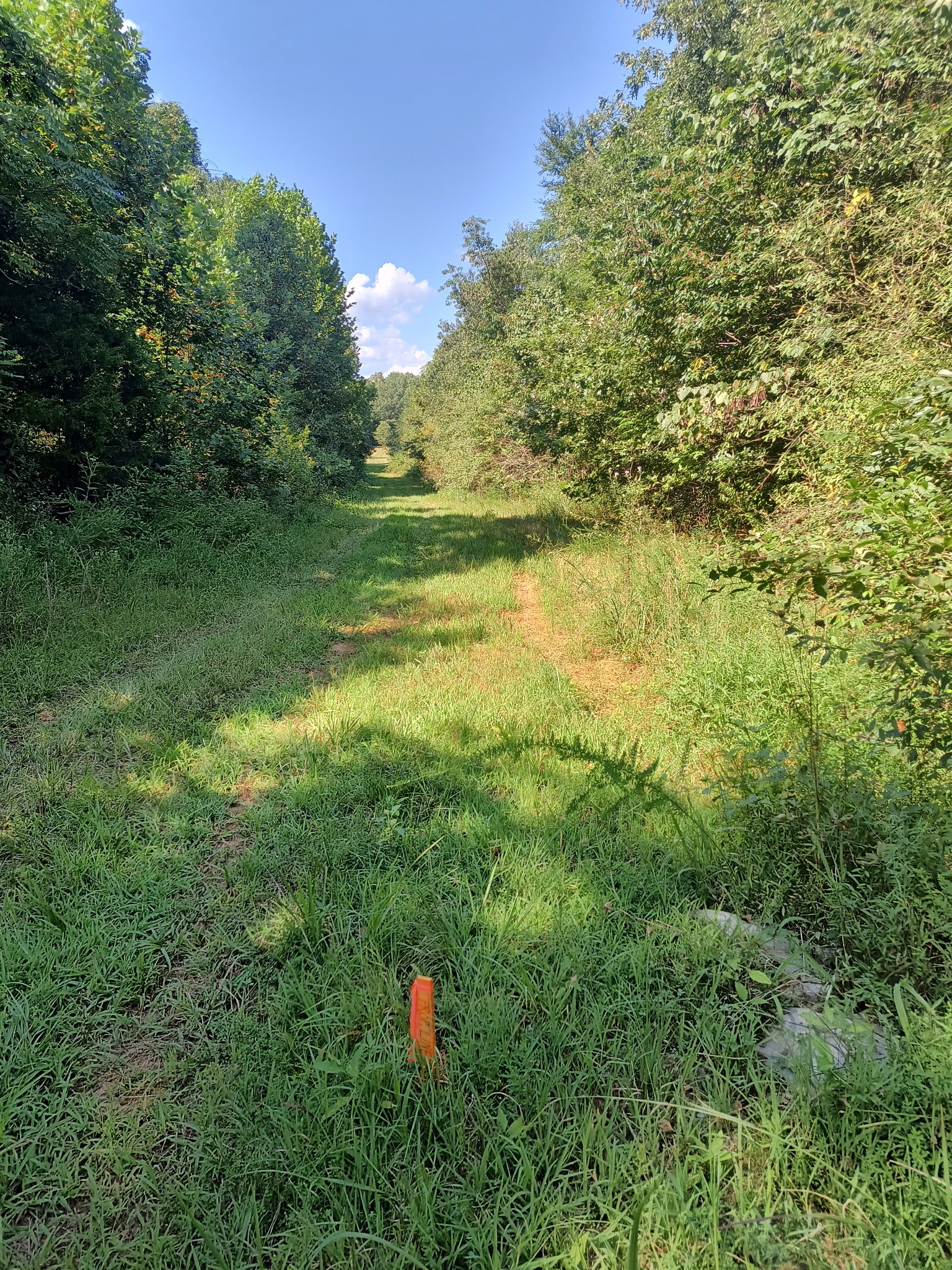 0 Hwy 41a N Property Photo 16