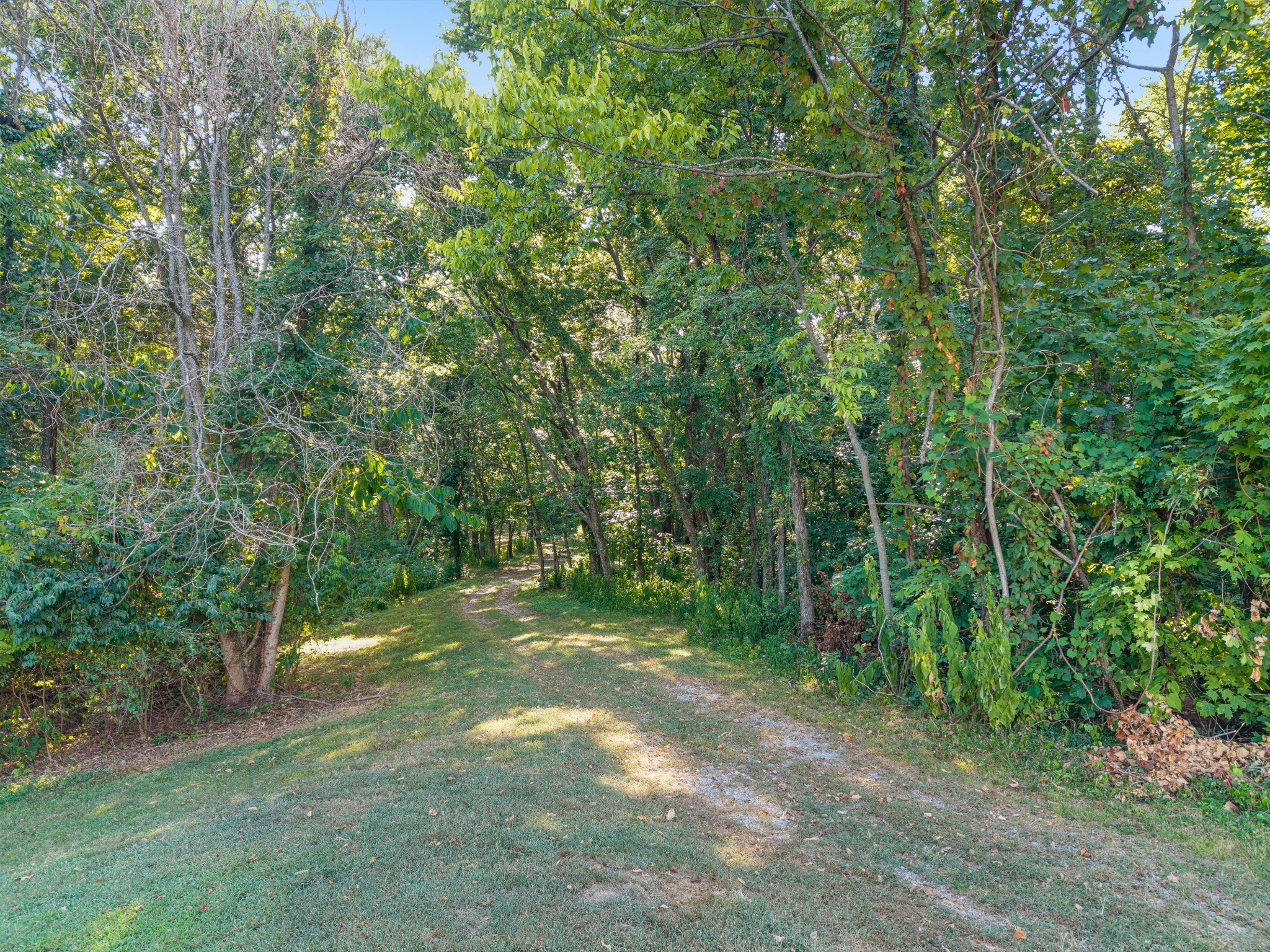 5495 Brick Church Pike Property Photo 18