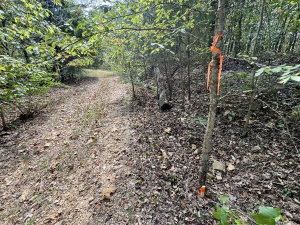 0 Richland Ridge Rd Property Photo 5