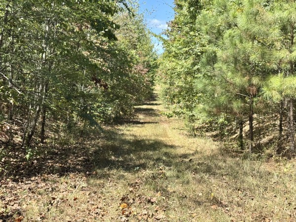 0 Richland Ridge Rd Property Photo 6