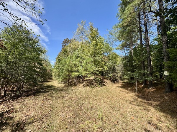 0 Richland Ridge Rd Property Photo 8