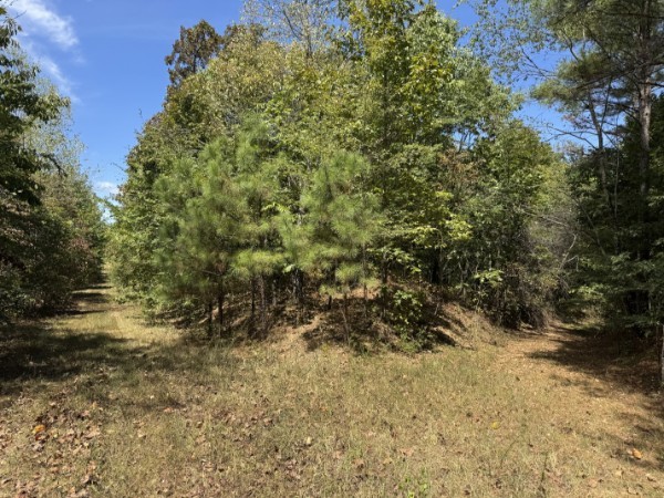 0 Richland Ridge Rd Property Photo 9