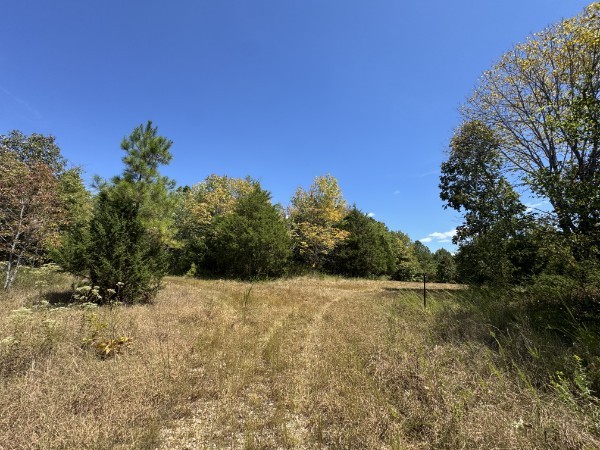 0 Richland Ridge Rd Property Photo 10