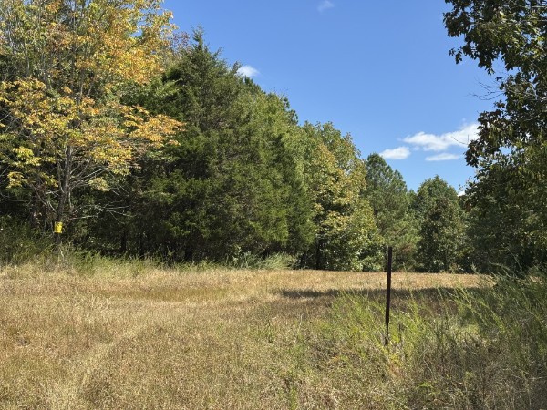 0 Richland Ridge Rd Property Photo 11