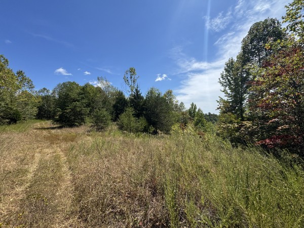 0 Richland Ridge Rd Property Photo 12