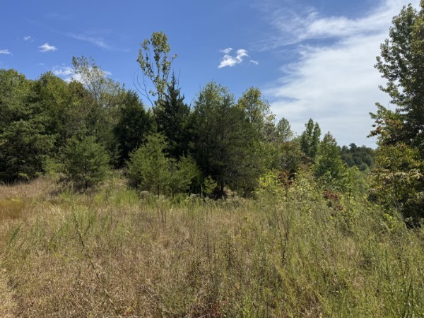 0 Richland Ridge Rd Property Photo 13