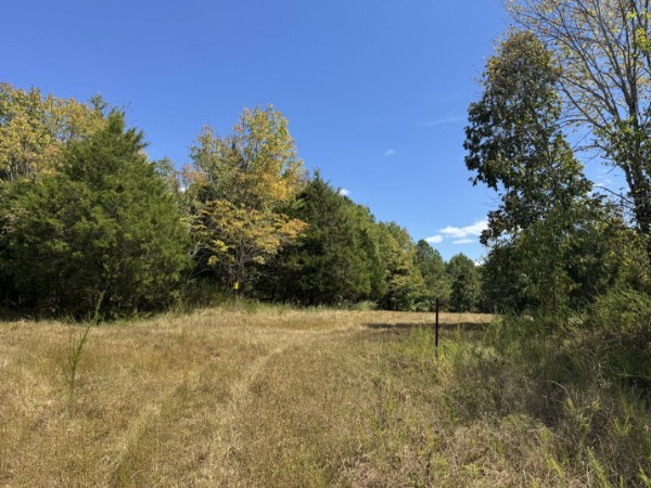 0 Richland Ridge Rd Property Photo 14