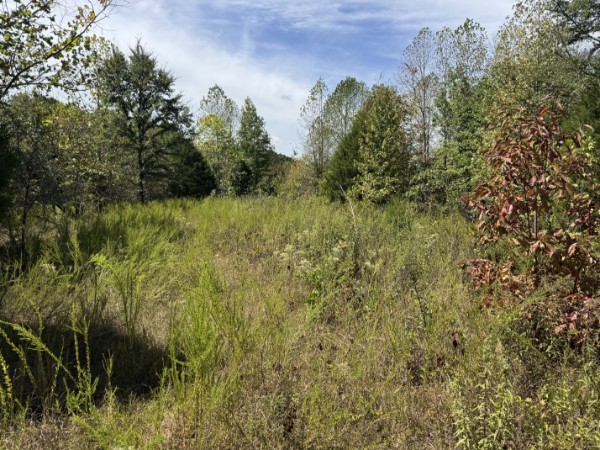 0 Richland Ridge Rd Property Photo 15