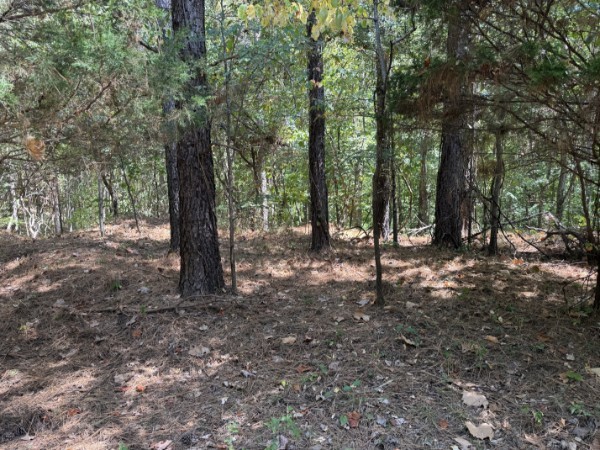 0 Richland Ridge Rd Property Photo 16