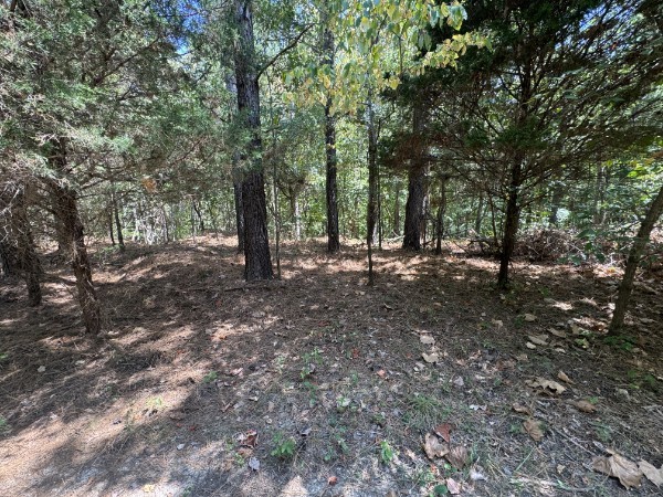 0 Richland Ridge Rd Property Photo 17