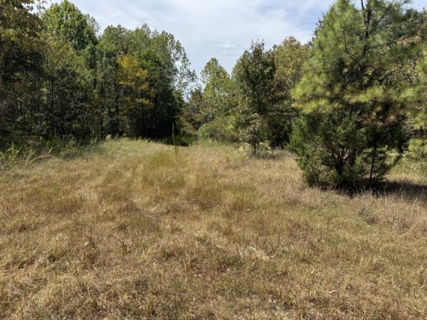 0 Richland Ridge Rd Property Photo 18