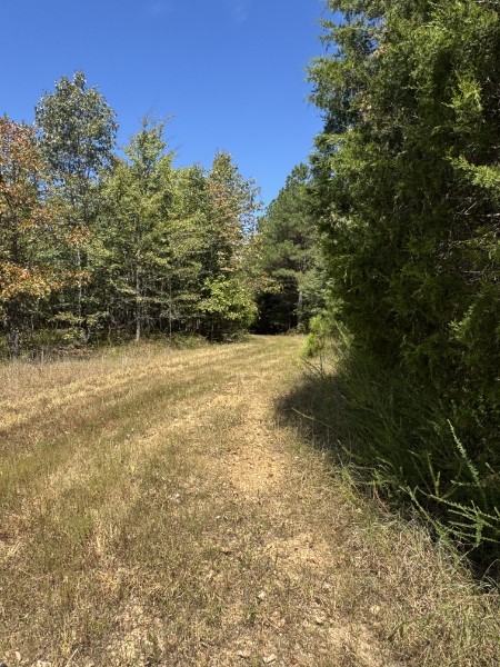 0 Richland Ridge Rd Property Photo 19