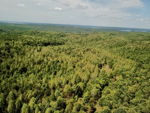 0 Richland Ridge Rd Property Photo 23