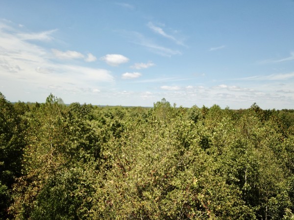 0 Richland Ridge Rd Property Photo 24