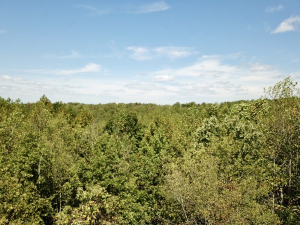 0 Richland Ridge Rd Property Photo 25