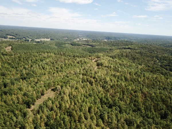 0 Richland Ridge Rd Property Photo 26