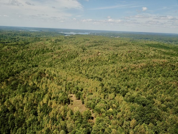 0 Richland Ridge Rd Property Photo 28