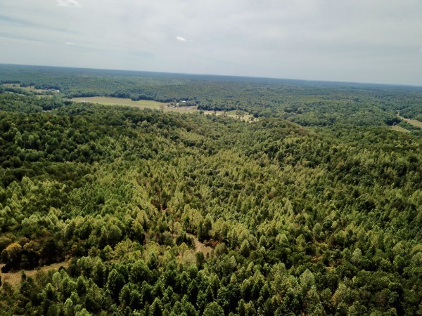 0 Richland Ridge Rd Property Photo 29