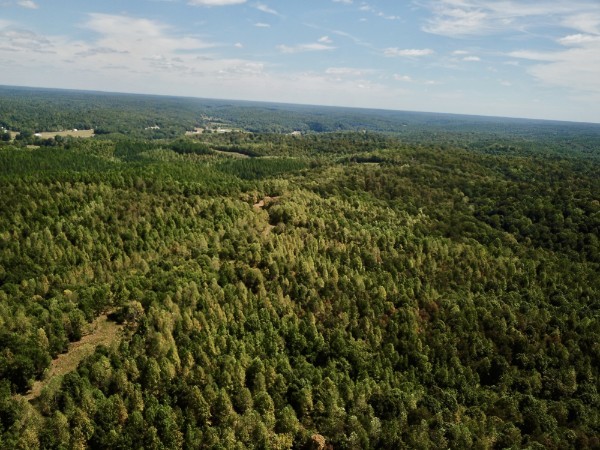 0 Richland Ridge Rd Property Photo 32