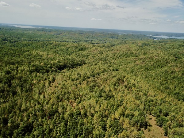 0 Richland Ridge Rd Property Photo 34