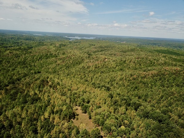 0 Richland Ridge Rd Property Photo 36