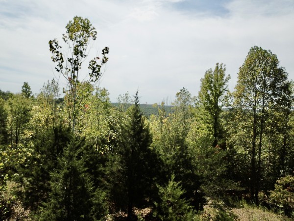 0 Richland Ridge Rd Property Photo 37