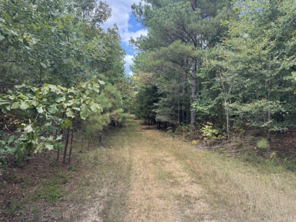 0 Richland Ridge Rd Property Photo 40