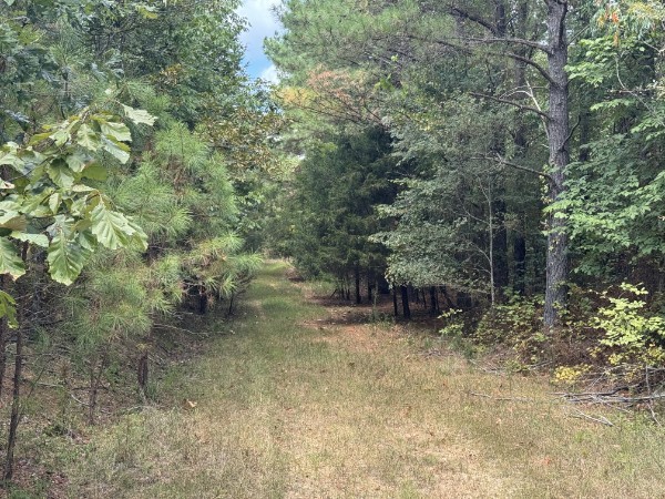 0 Richland Ridge Rd Property Photo 41