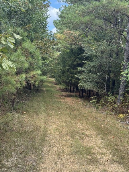 0 Richland Ridge Rd Property Photo 42