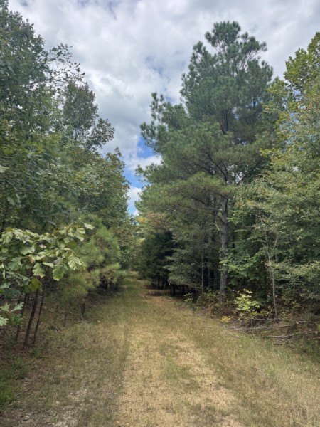 0 Richland Ridge Rd Property Photo 43