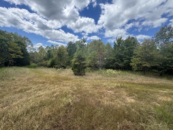 0 Richland Ridge Rd Property Photo 44