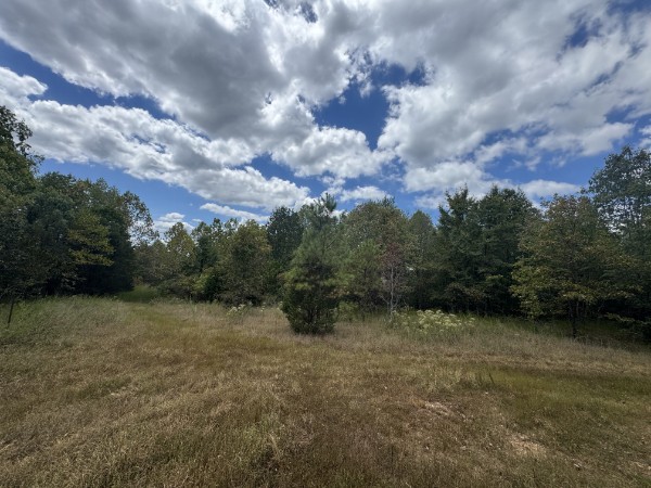 0 Richland Ridge Rd Property Photo 45