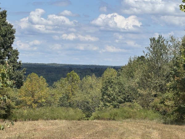 0 Richland Ridge Rd Property Photo 46