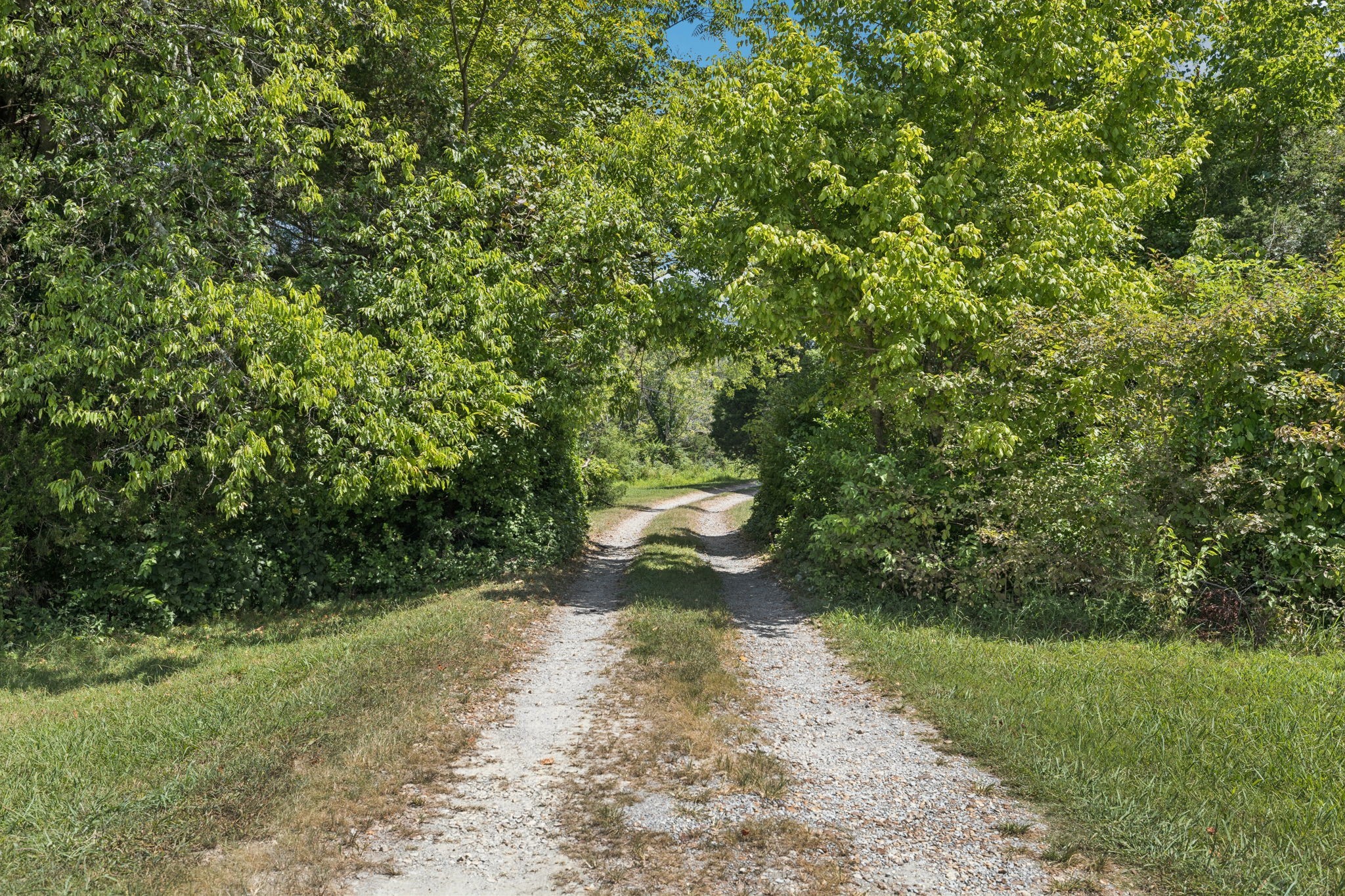 2413 Highway 109, N Property Photo 55