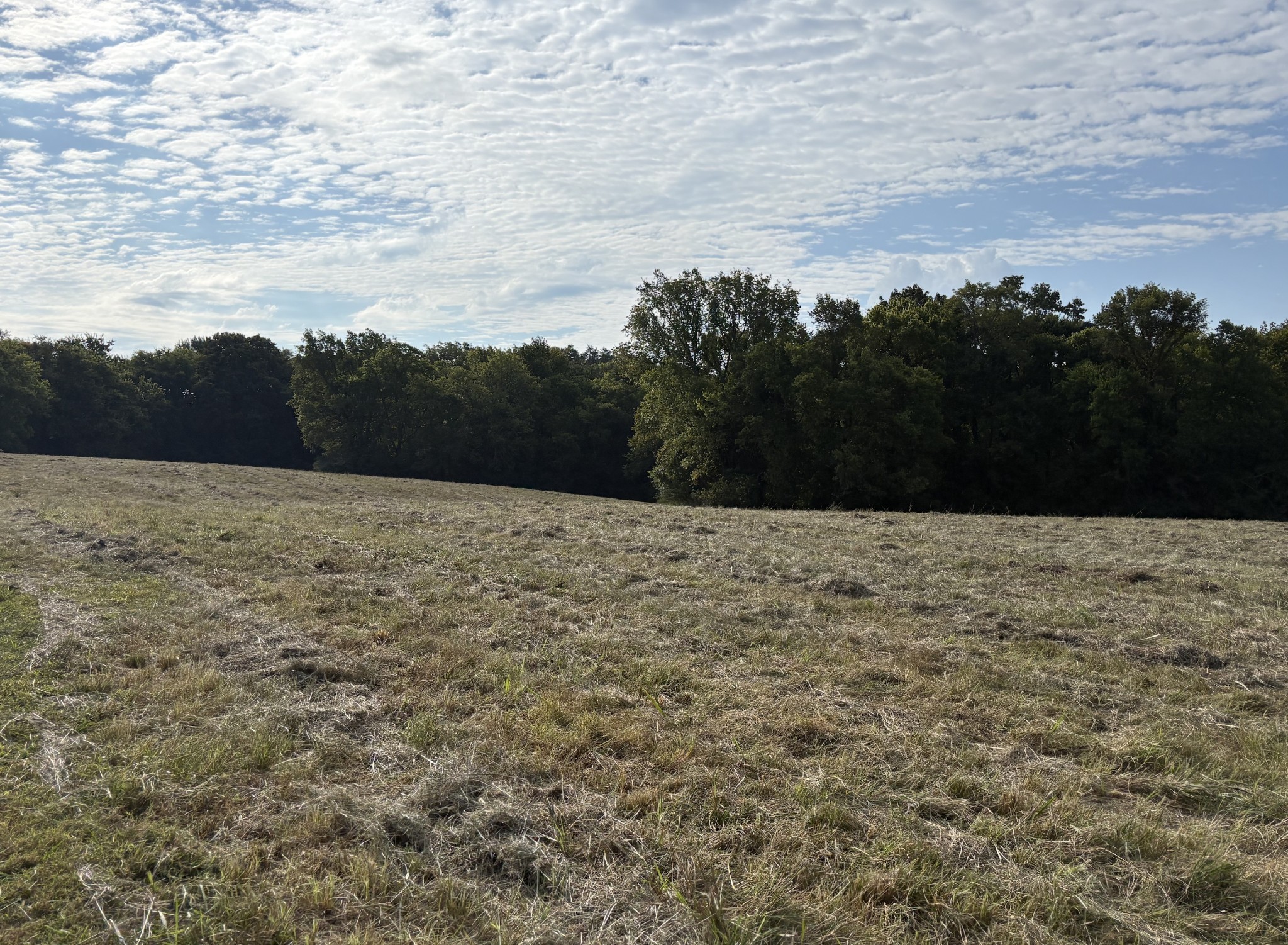 0 Webb Rd Property Photo 3