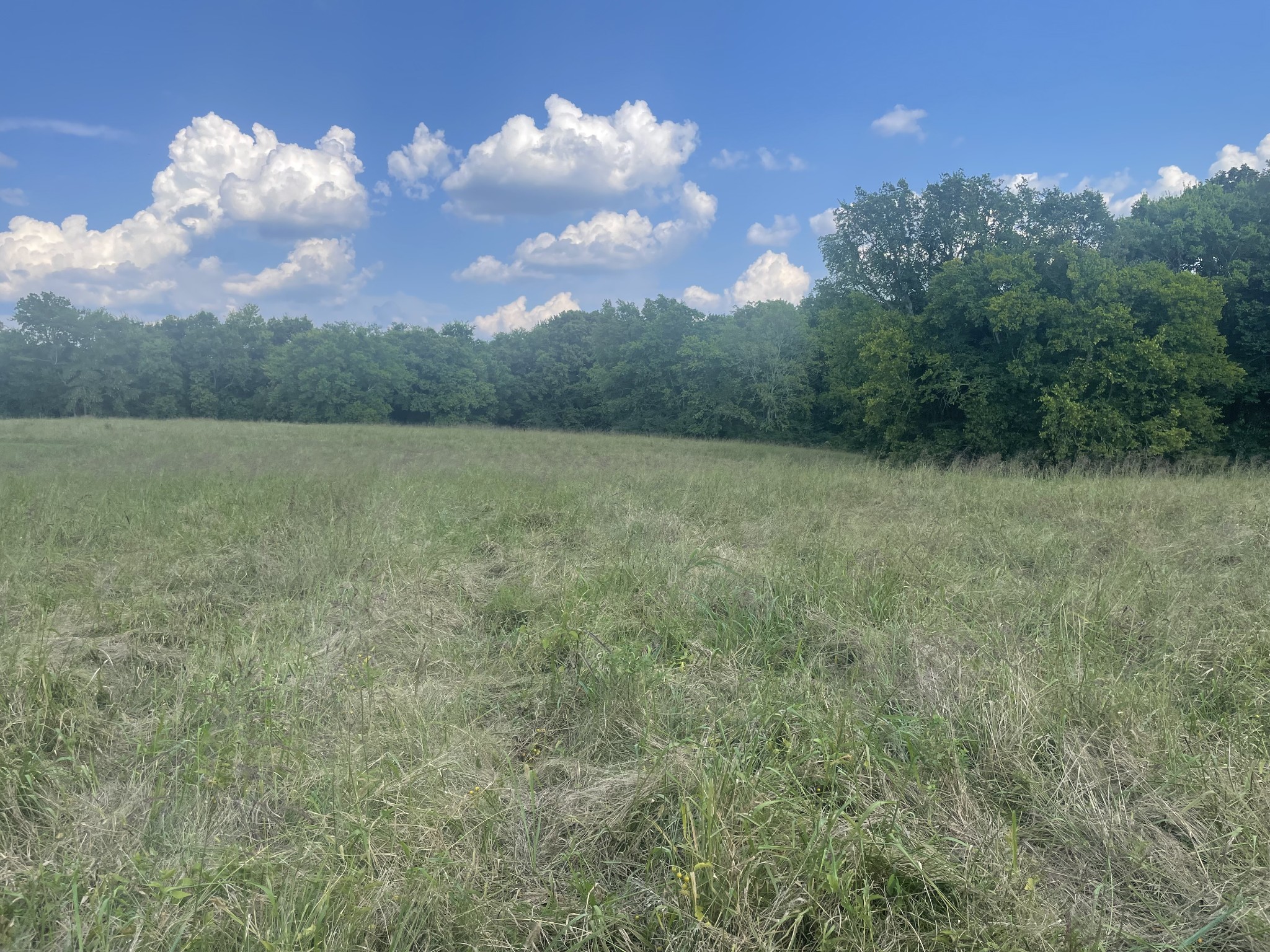 0 Webb Rd Property Photo 6