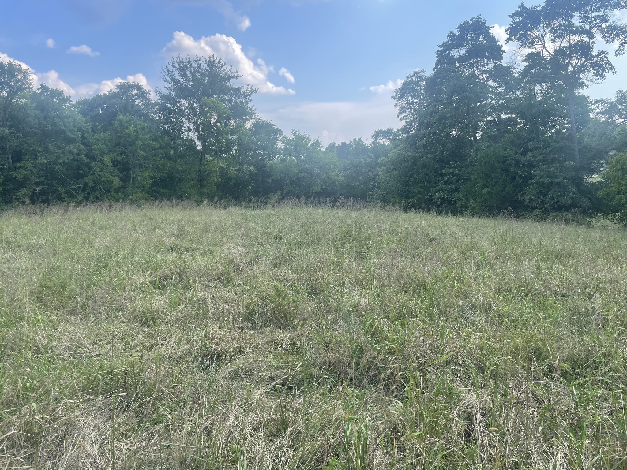 0 Webb Rd Property Photo 7