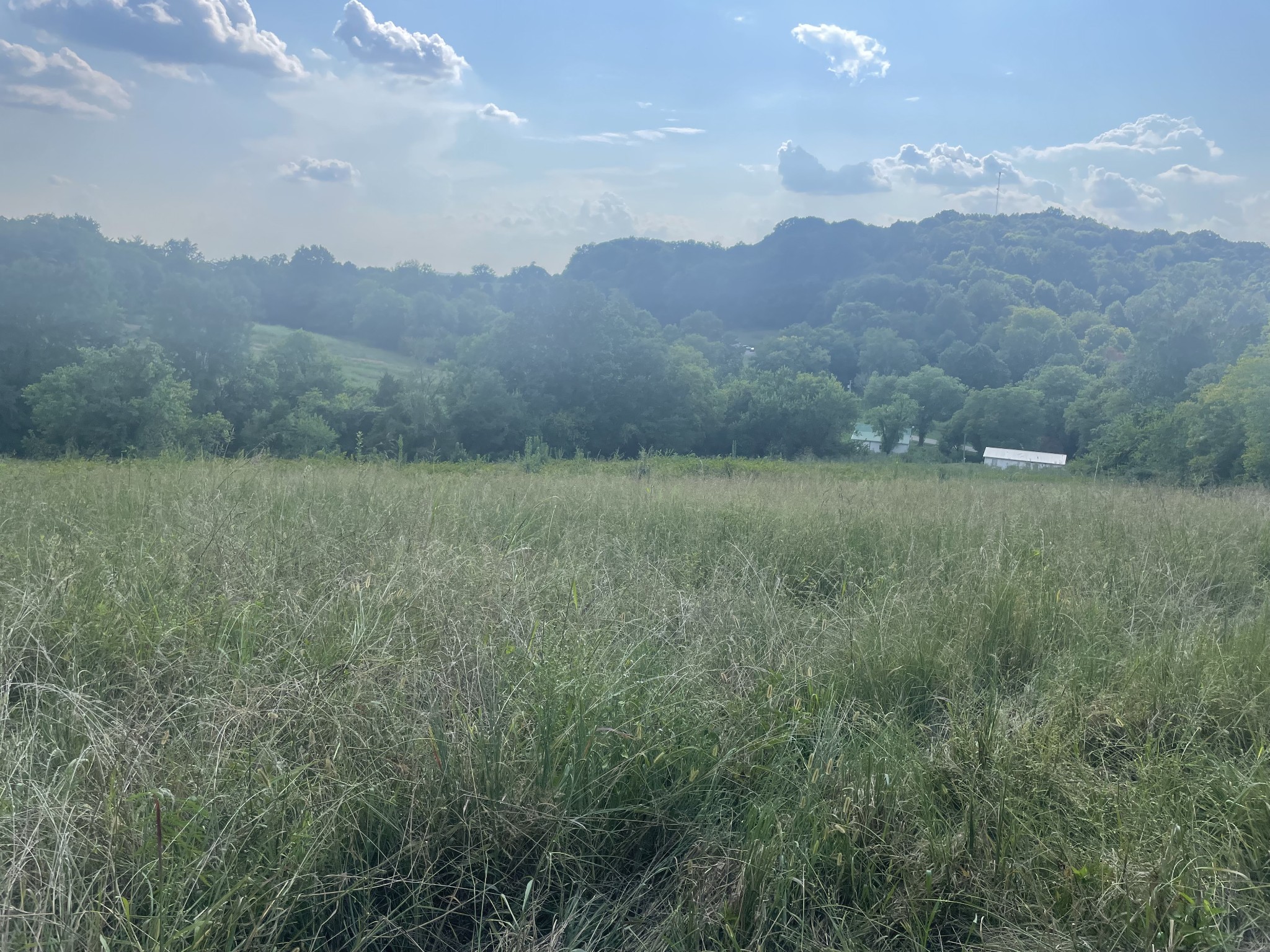 0 Webb Rd Property Photo 8