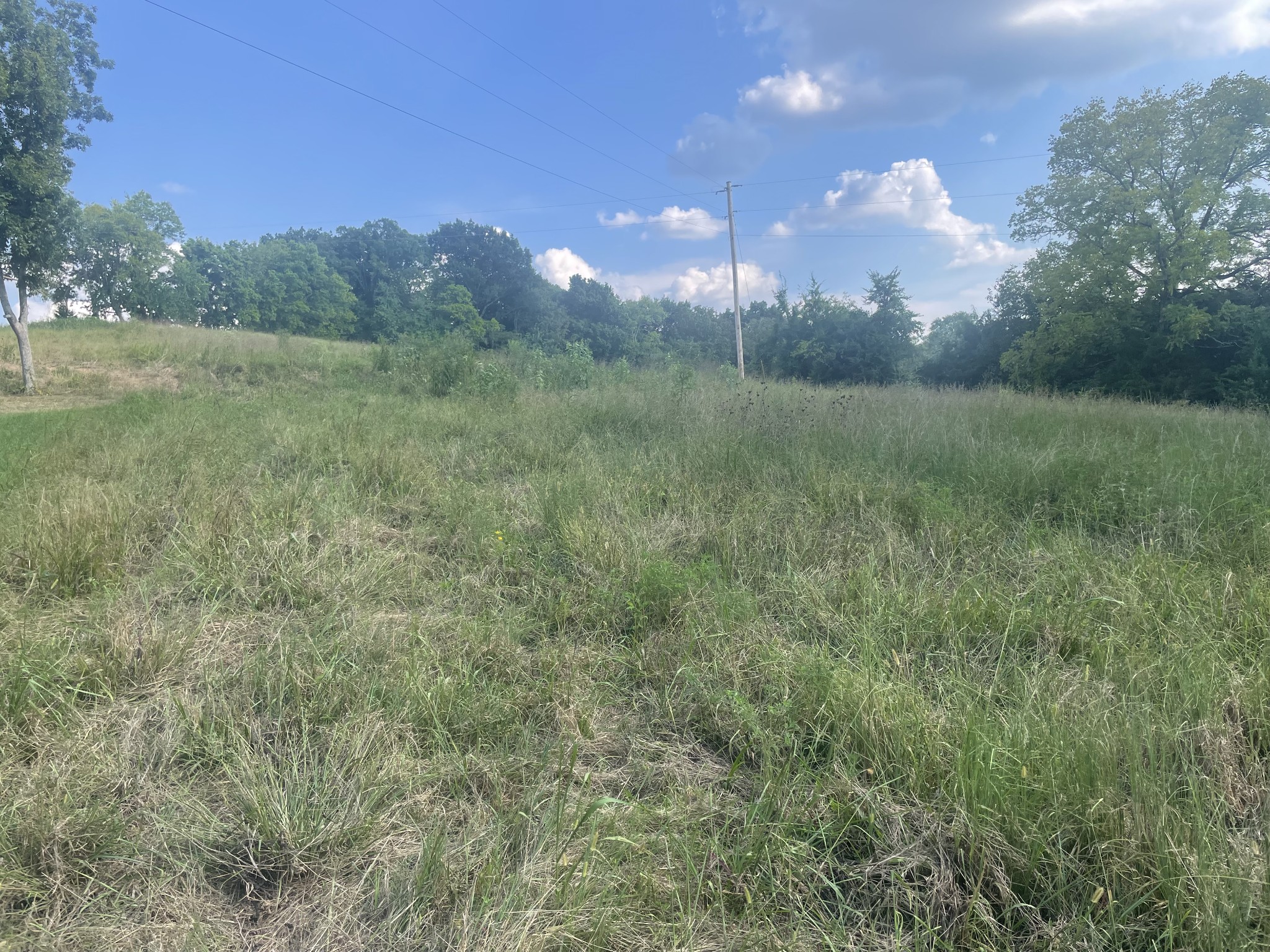 0 Webb Rd Property Photo 9