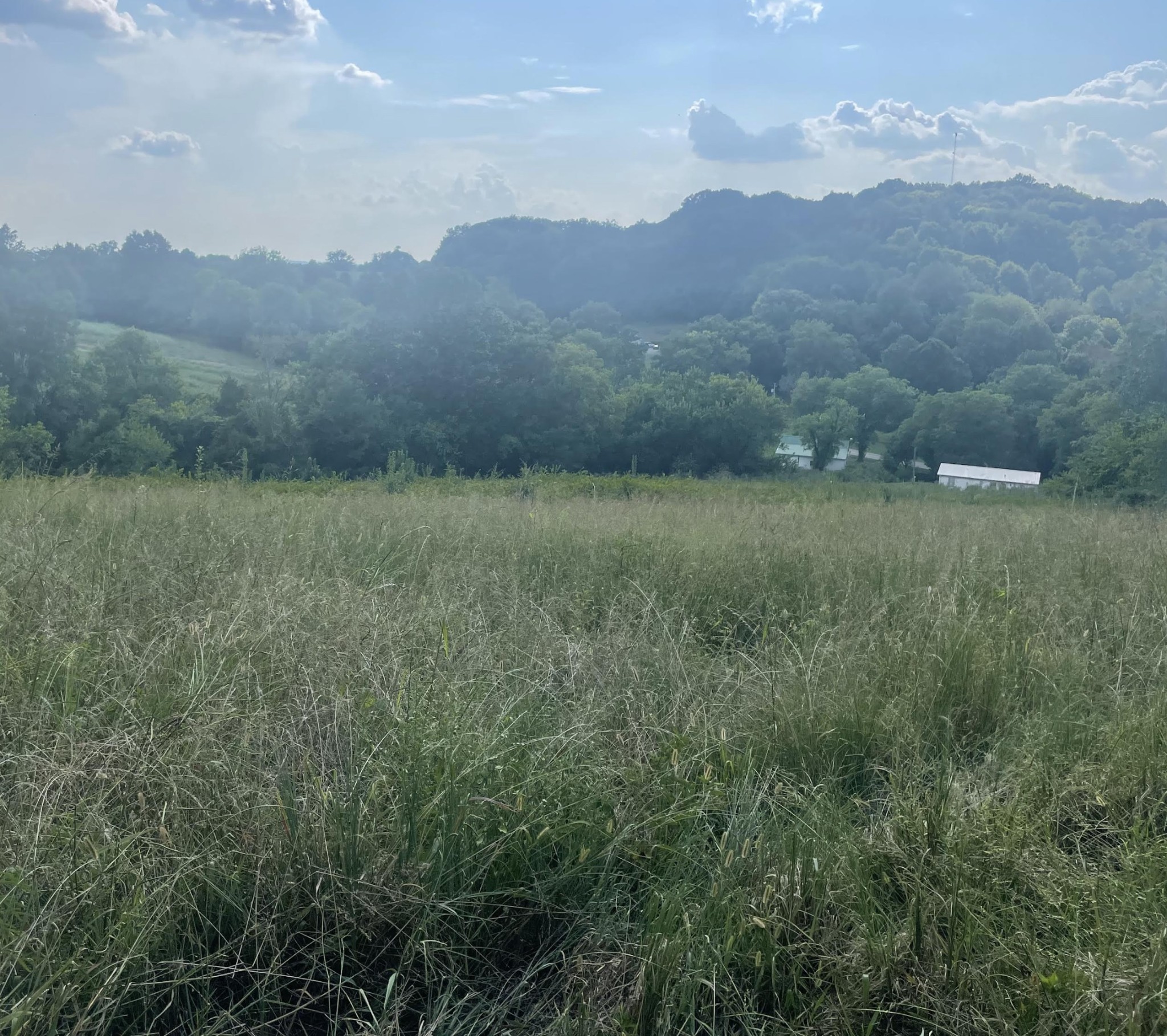 0 Webb Rd Property Photo 10