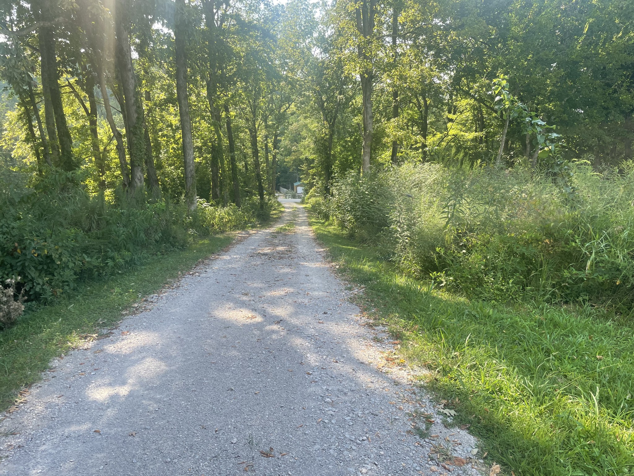 0 Webb Rd Property Photo 11