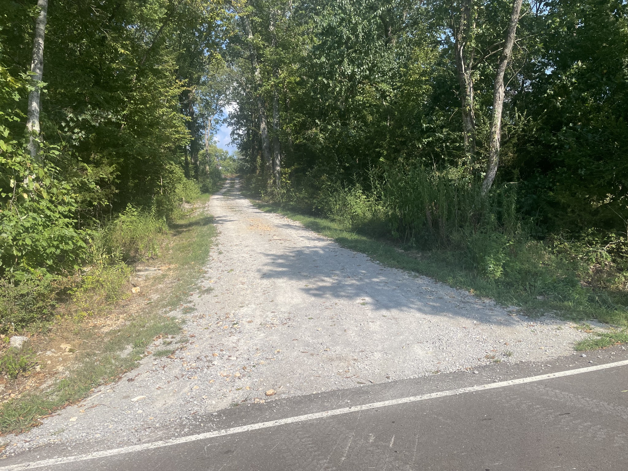 0 Webb Rd Property Photo 12