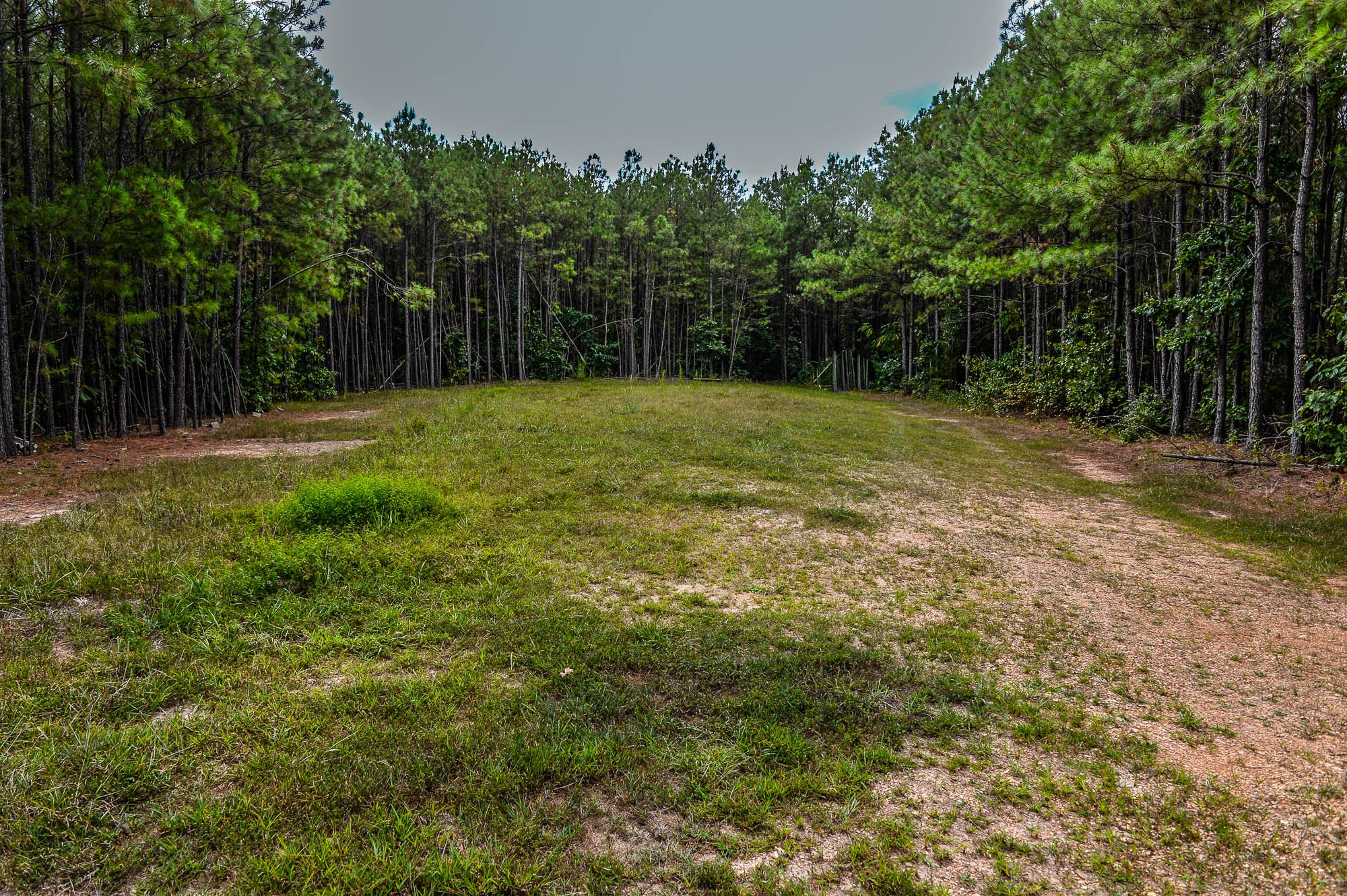 0 Brush Creek Road Property Photo 3