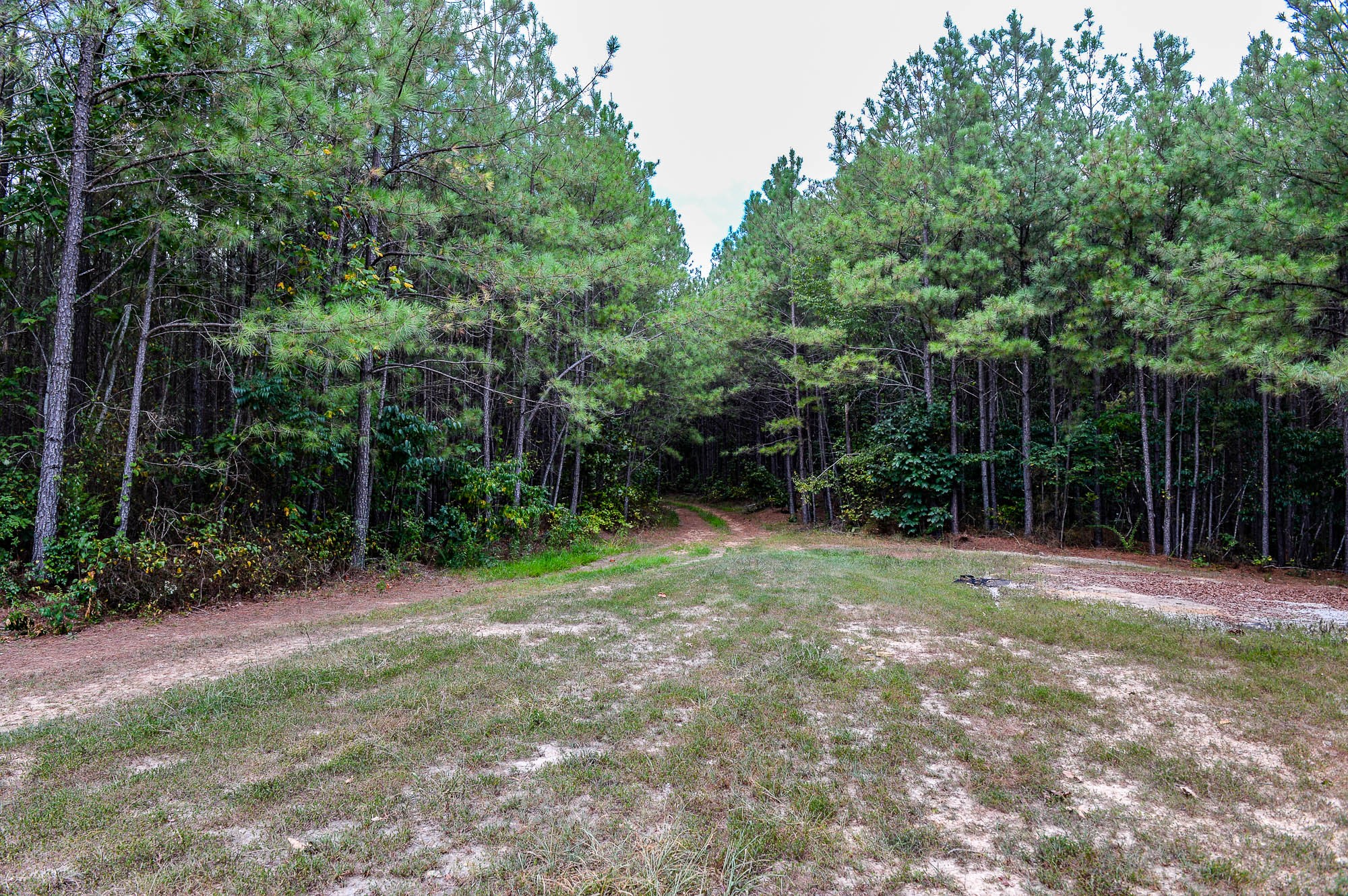 0 Brush Creek Road Property Photo 5